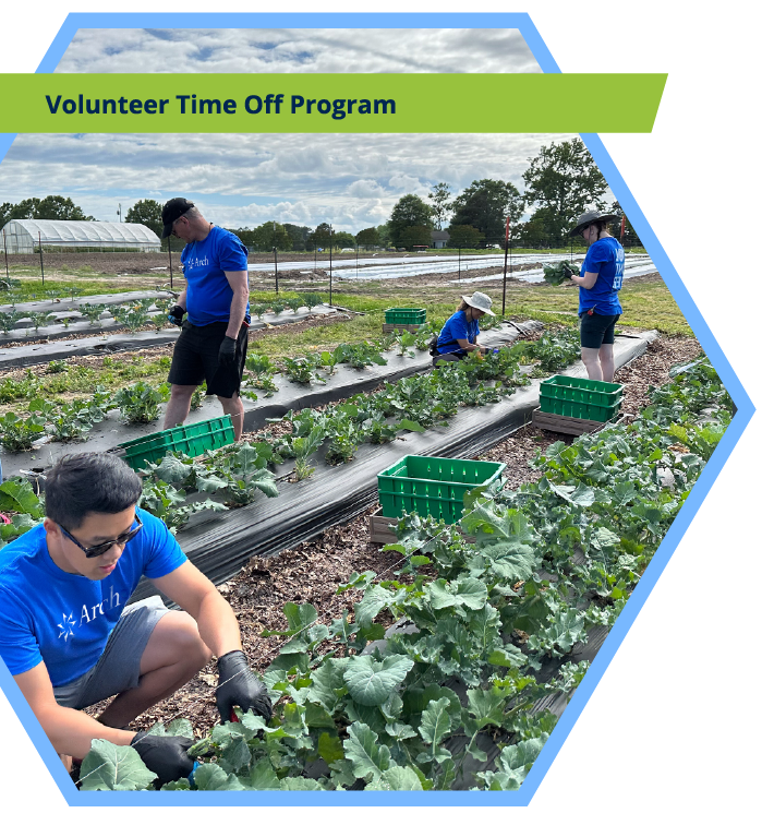 Volunteer Time Off Program: Photo of Arch employees helping on a farm through volunteering.